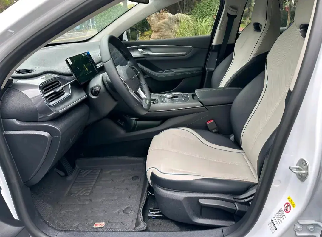 2024 BYD DESTROYER thumbnail 4