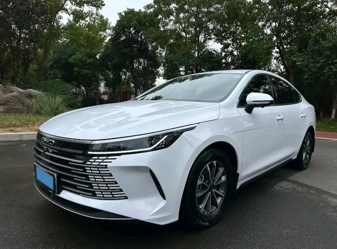 2024 BYD DESTROYER view 1