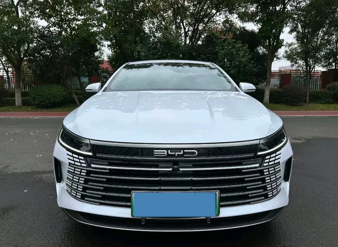 2024 BYD DESTROYER thumbnail 2