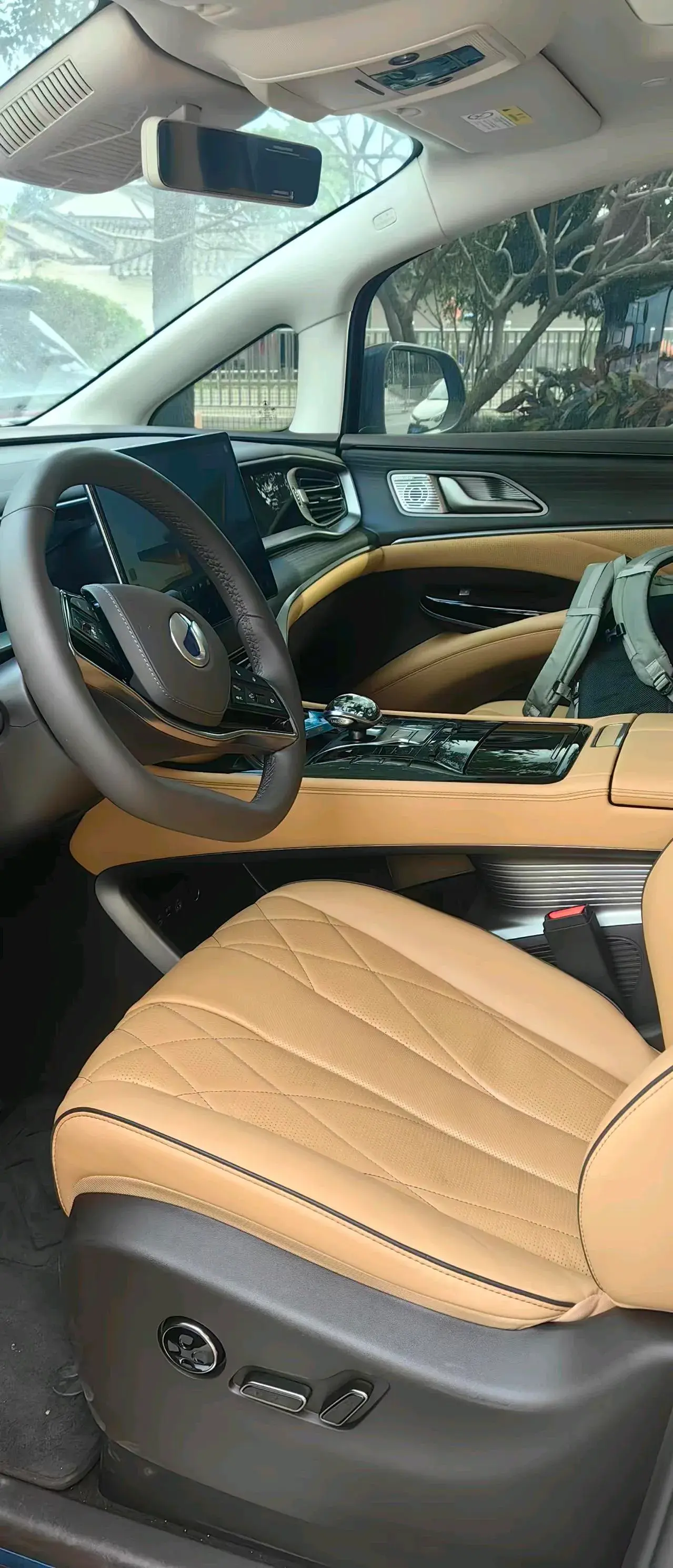 2024 DENZA D9 thumbnail 2