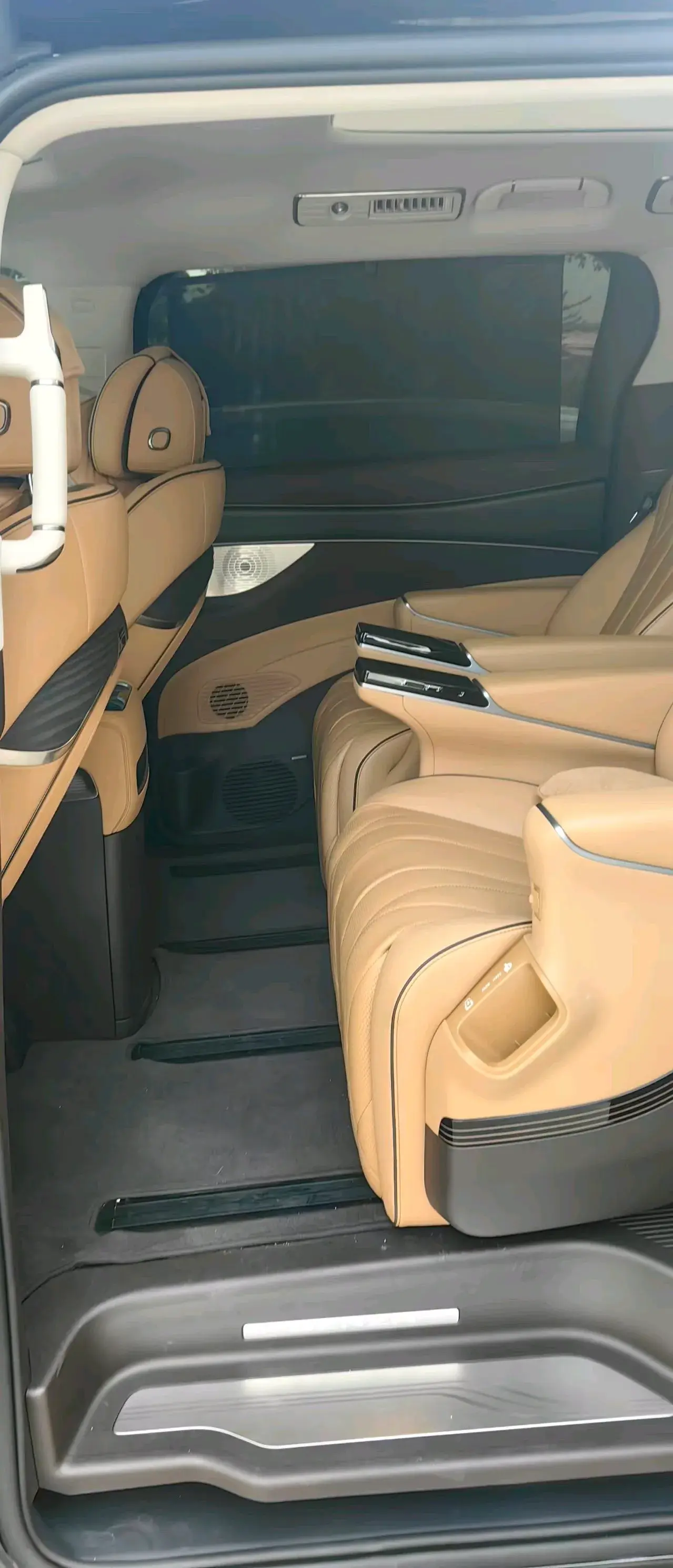 2024 DENZA D9 thumbnail 4