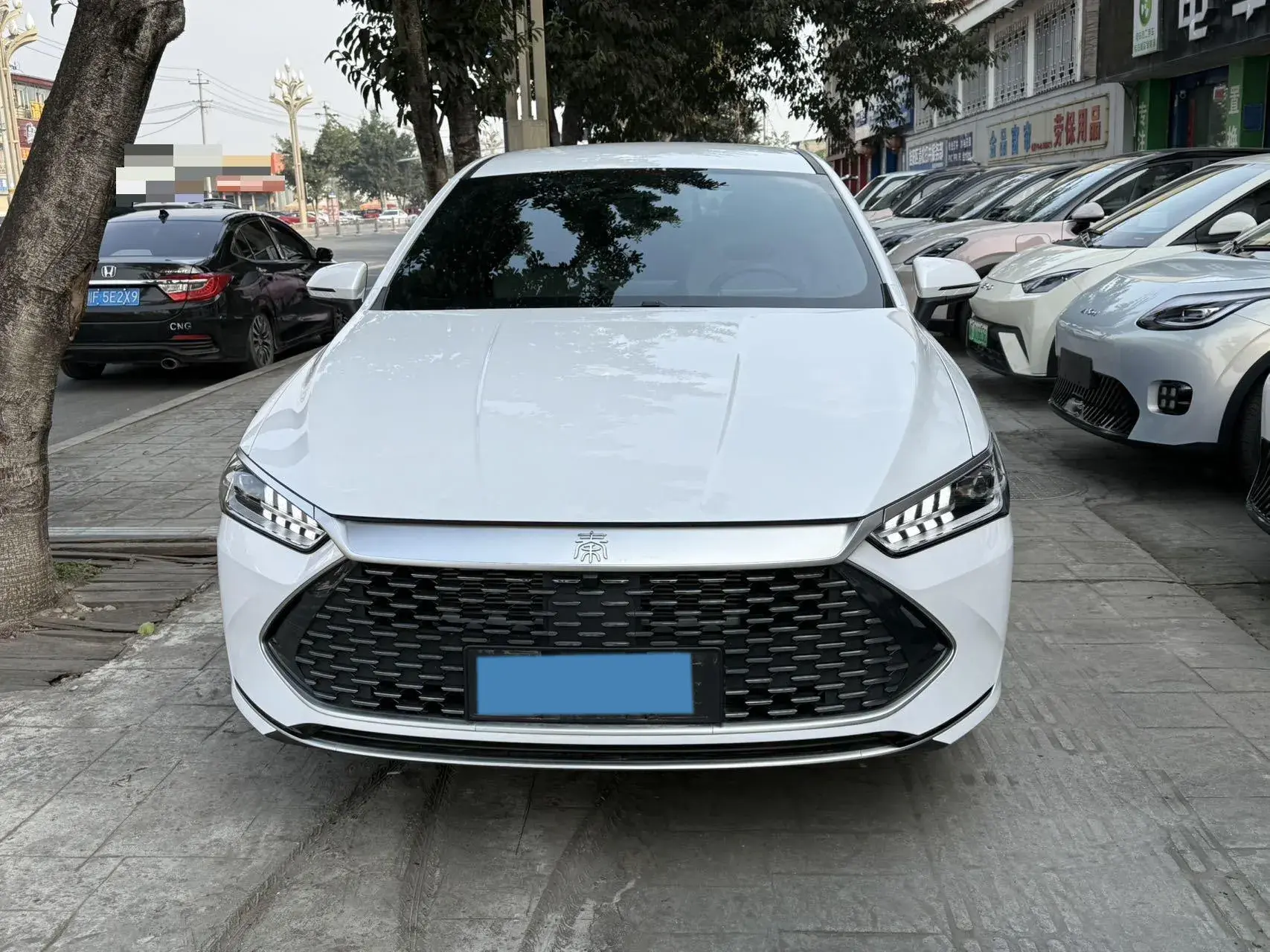 2024 BYD QIN thumbnail 2