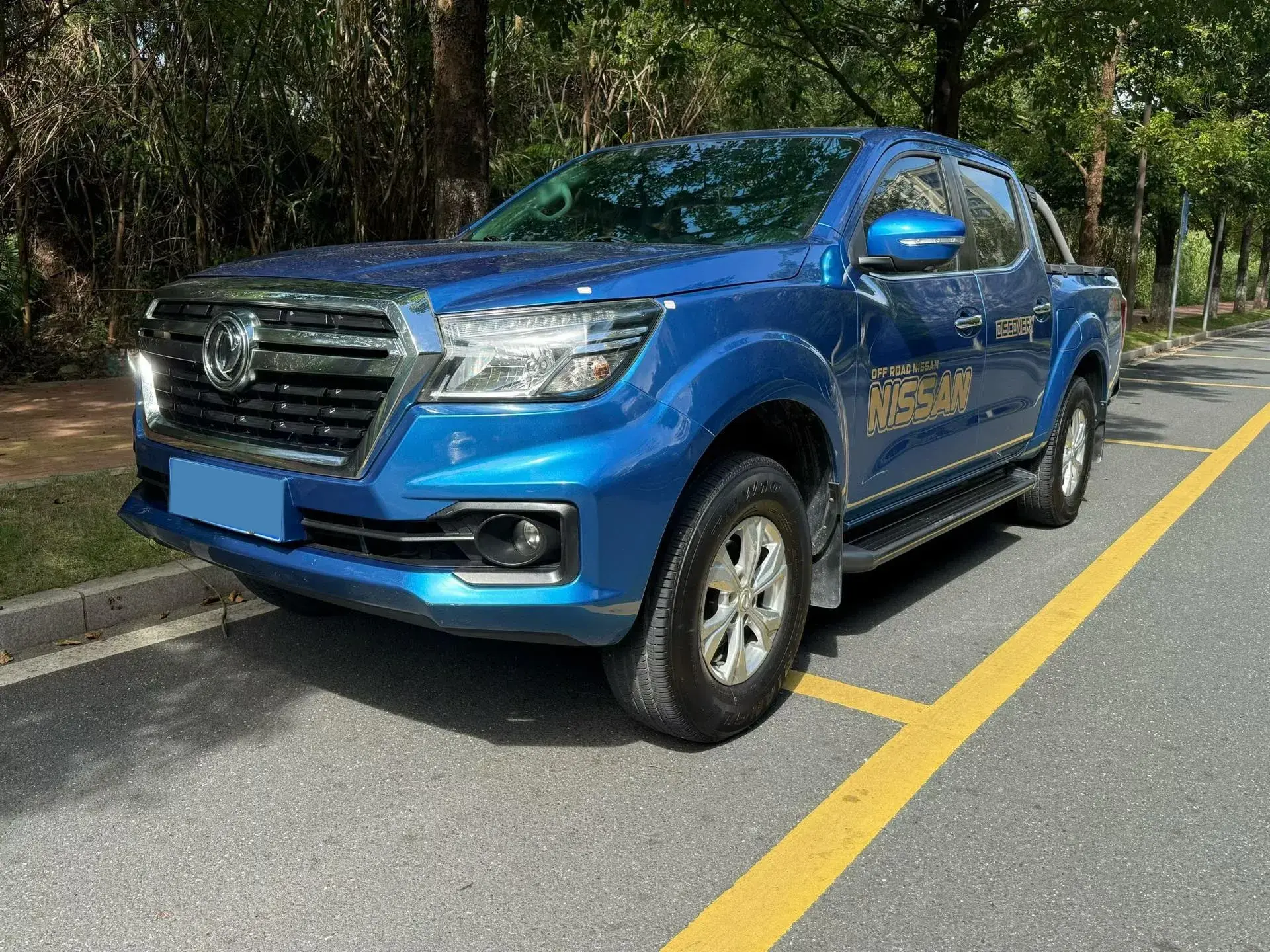 2019 DONGFENG RUIQI view 1