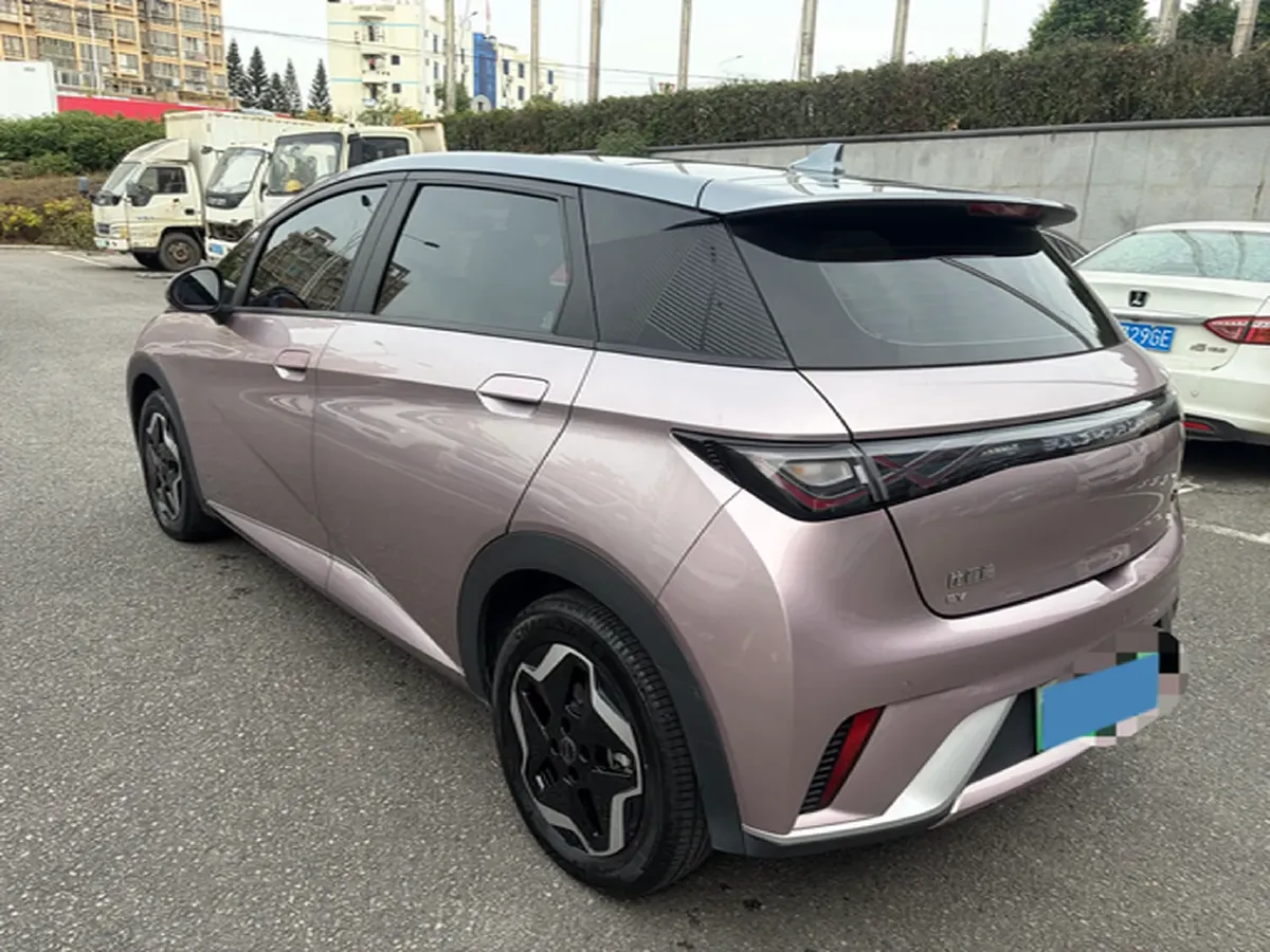 2021 BYD Dolphin BEV 44.9KWH,autocango,china used car exporter,china ev exporter,chinese used car exporter,chinese used ev exporter