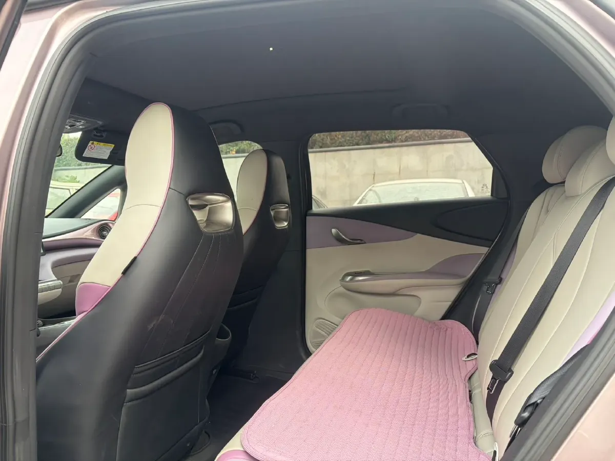 2021 BYD Dolphin BEV 44.9KWH,autocango,china used car exporter,china ev exporter,chinese used car exporter,chinese used ev exporter