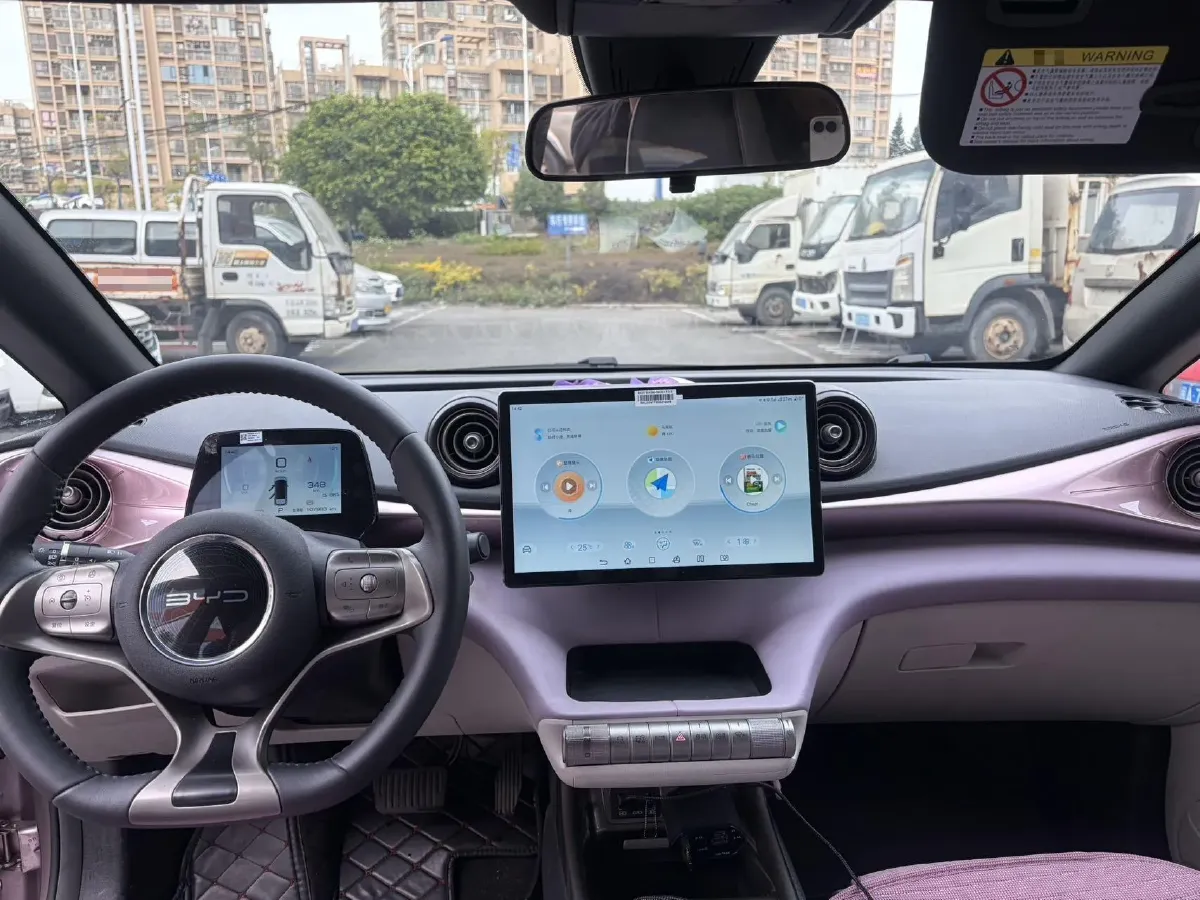 2021 BYD Dolphin BEV 44.9KWH,autocango,china used car exporter,china ev exporter,chinese used car exporter,chinese used ev exporter