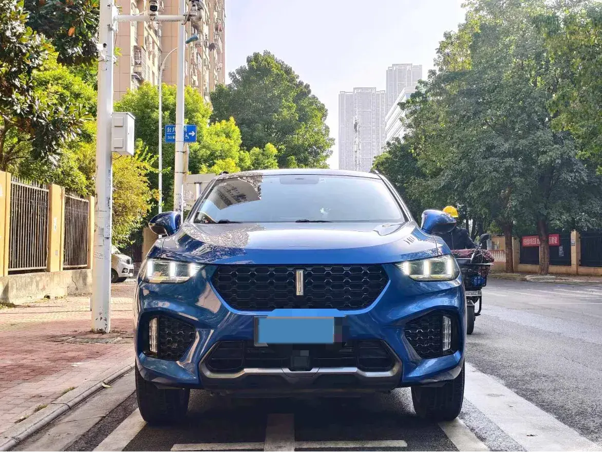 2017 WEY VV5 thumbnail 4