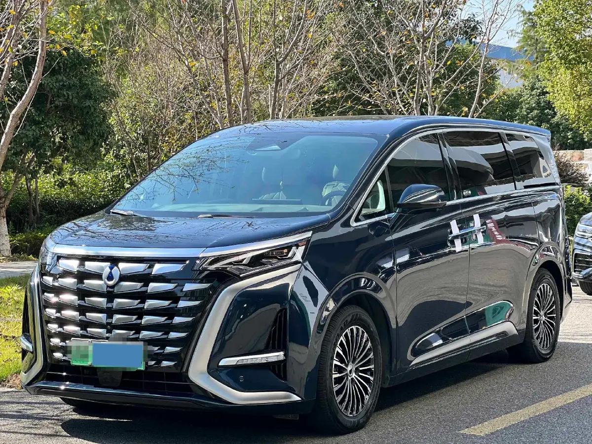 2022 Denza D9 1.5T 139HP L4 E-CVT PHEV 40.06KWH