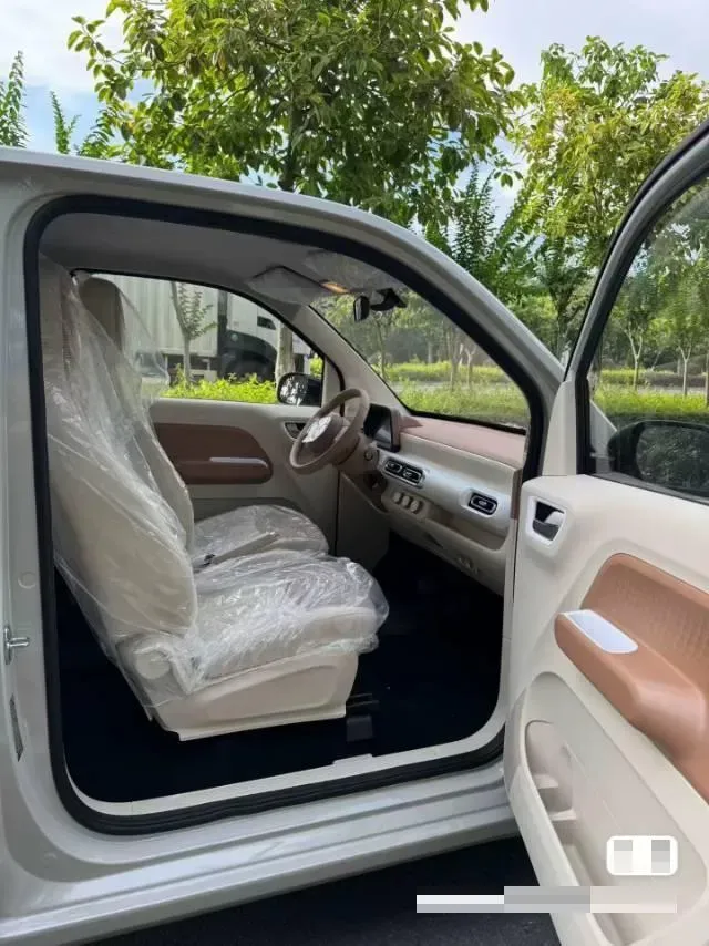 2024 WuLing HongGuang MINI EV BEV 9.3KWH,autocango,china used car exporter,china ev exporter,chinese used car exporter,chinese used ev exporter