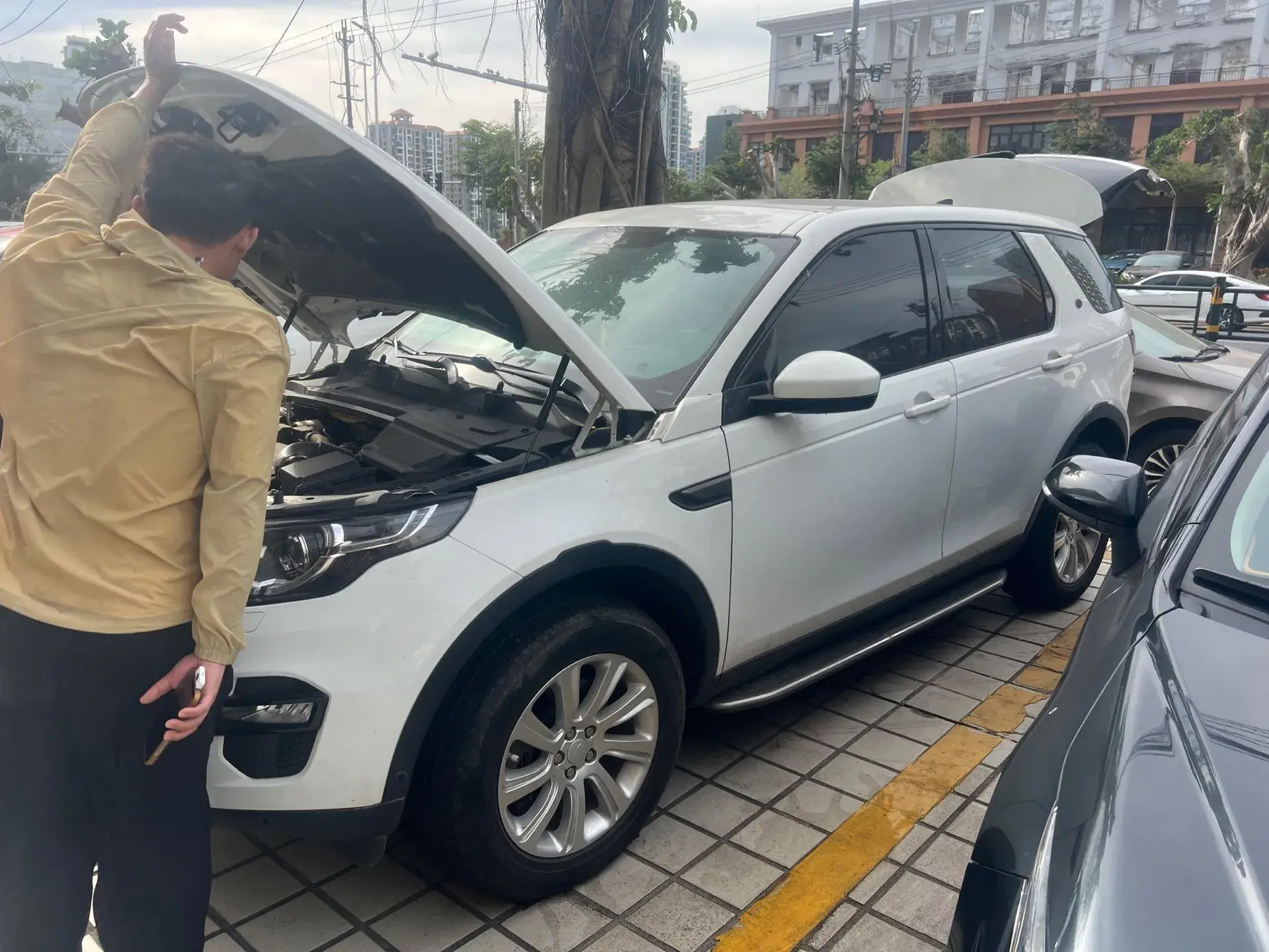 2019 LAND ROVER thumbnail 2