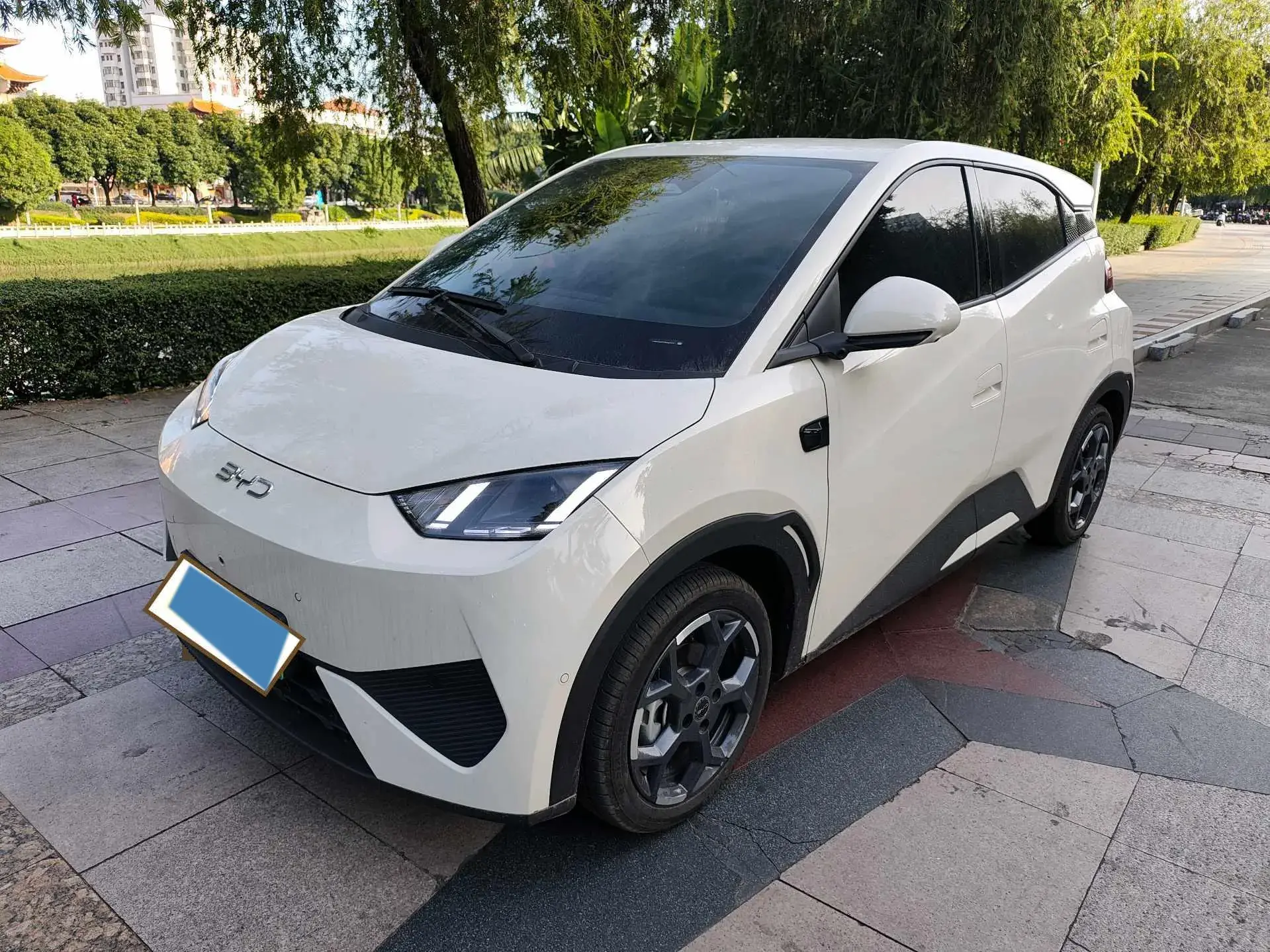 2025 BYD SEAGULL view 1