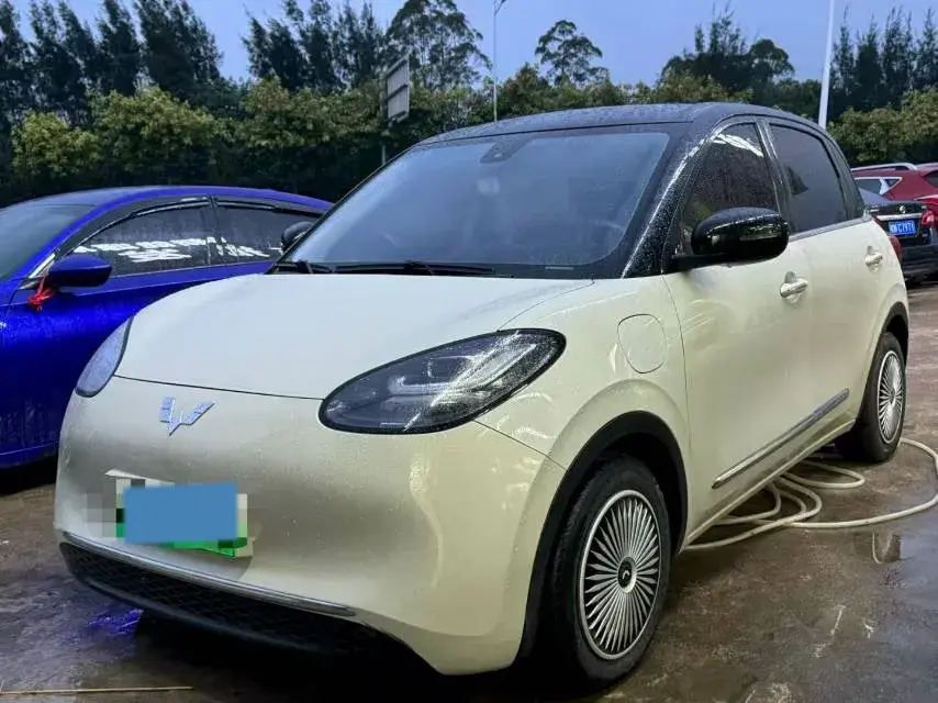 2023 WuLing BinGuo BEV 31.9KWH