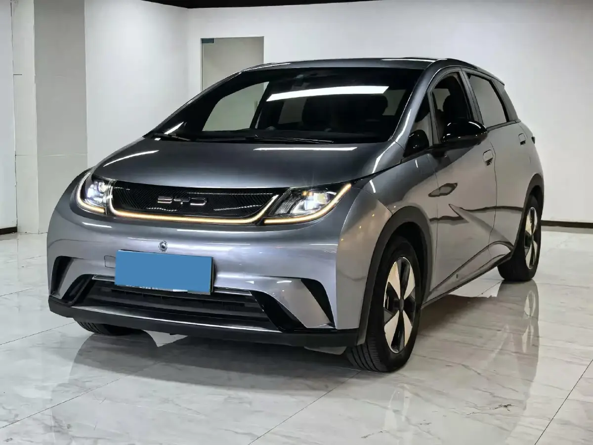 2024 BYD Dolphin BEV 44.928KWH