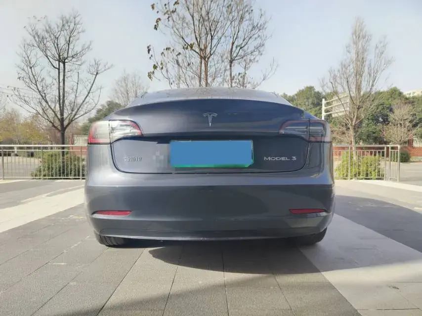 2020 TESLA MODEL thumbnail 4