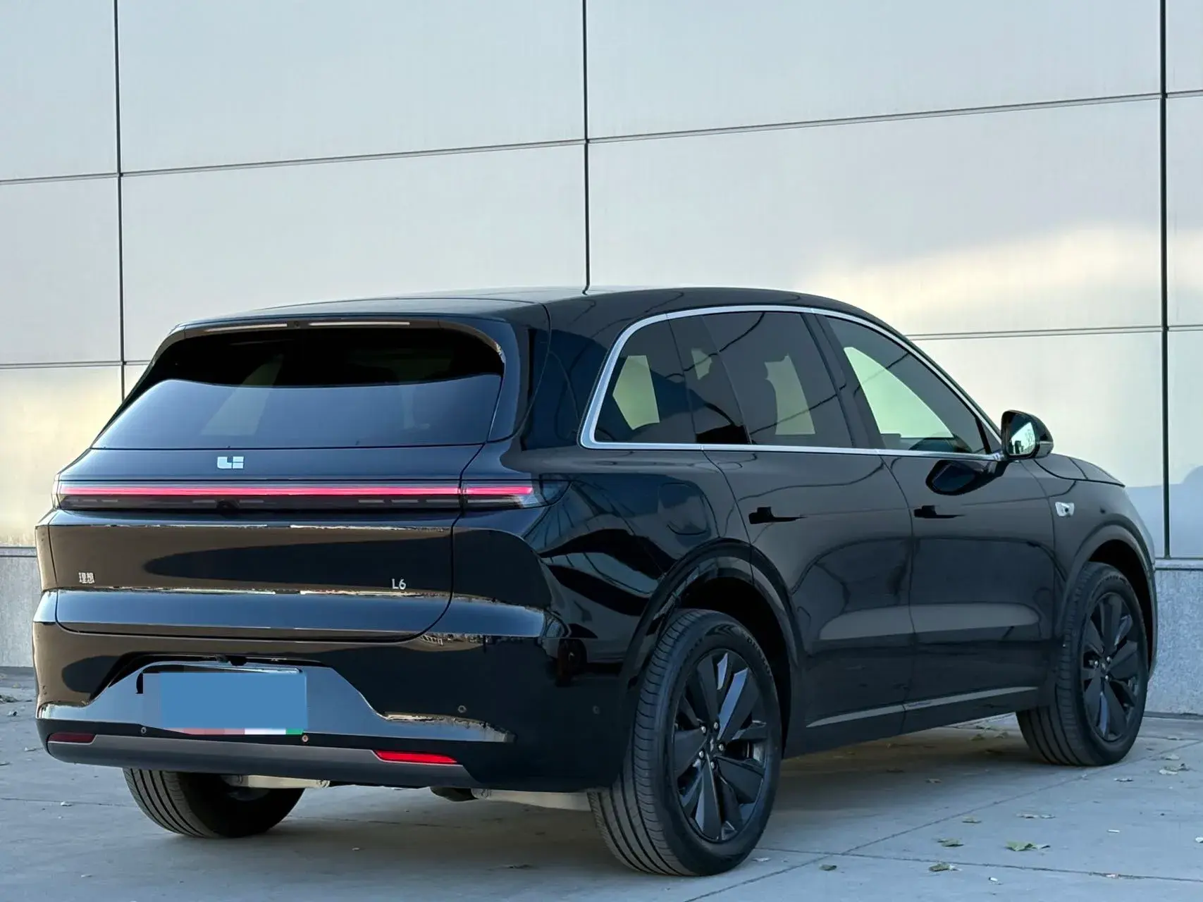 2025 LI L6 thumbnail 3