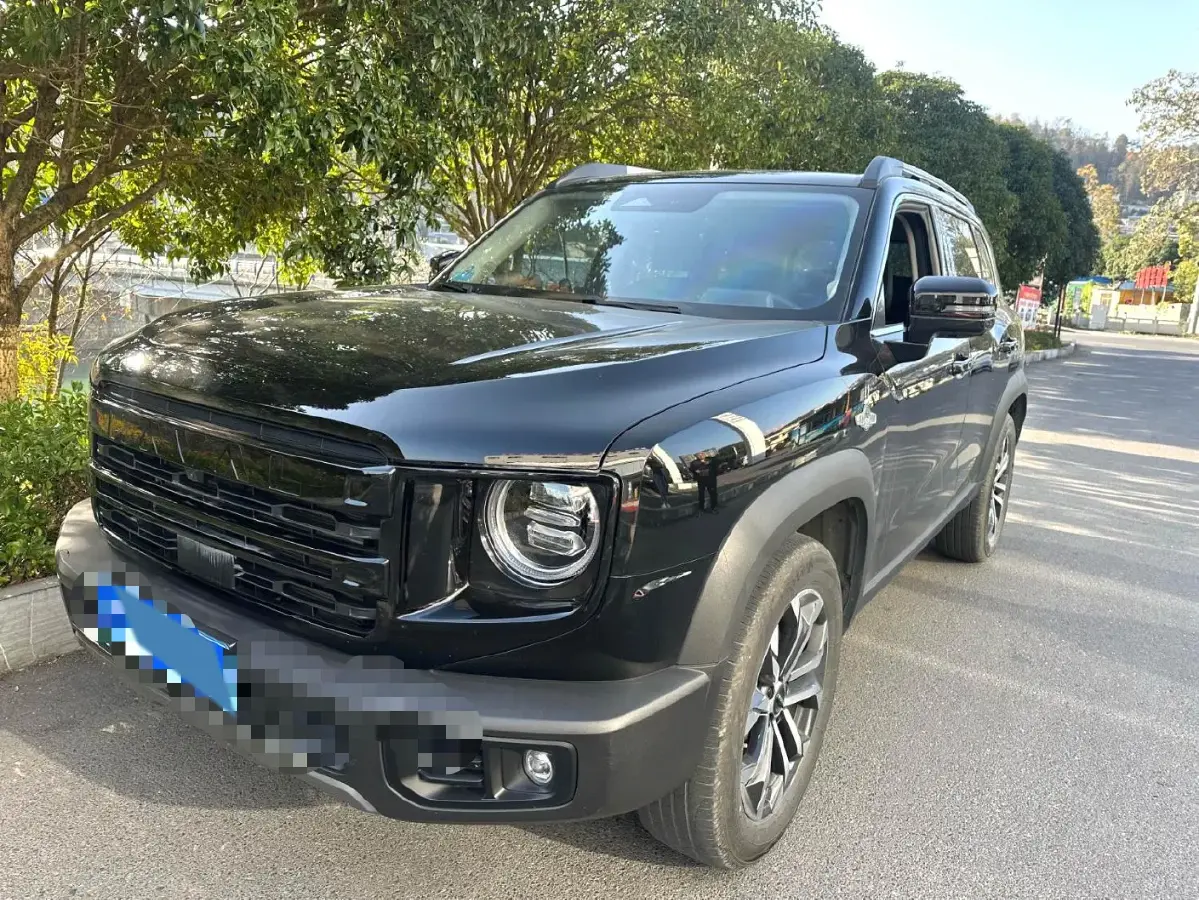 2024 Haval Dargo 1.5T 184HP L4 7DCT