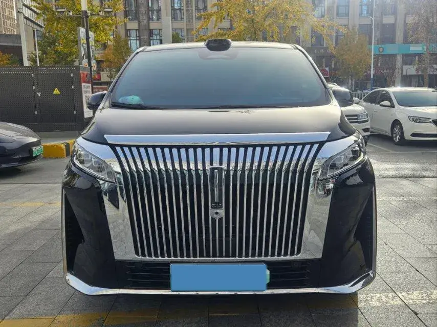 2025 WEY HIGHMOUNTAIN thumbnail 2