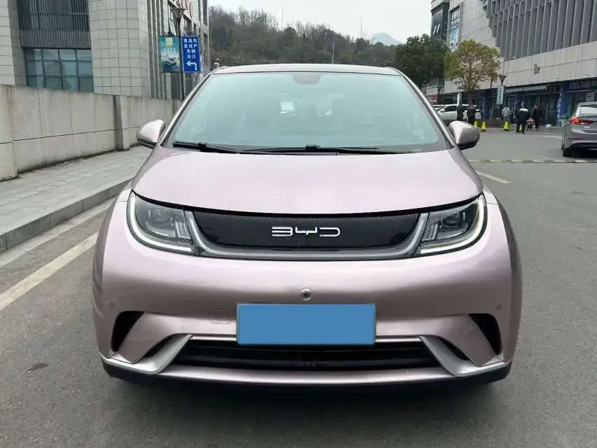 2023 BYD DOLPHIN thumbnail 2