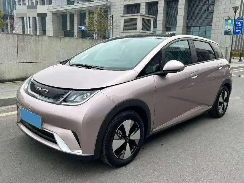 2023 BYD DOLPHIN view 1