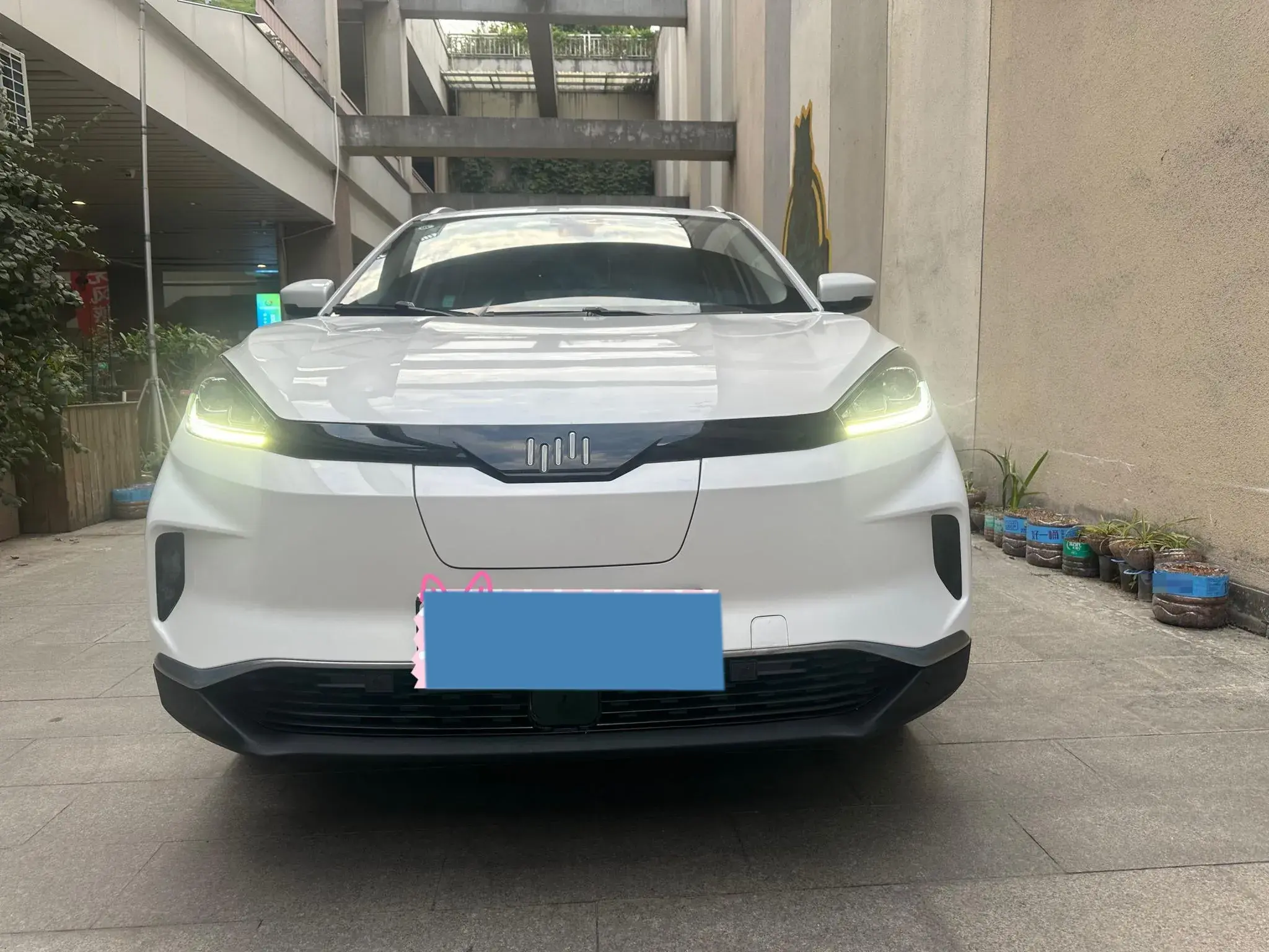 2022 WELTMEISTER EX5 thumbnail 3