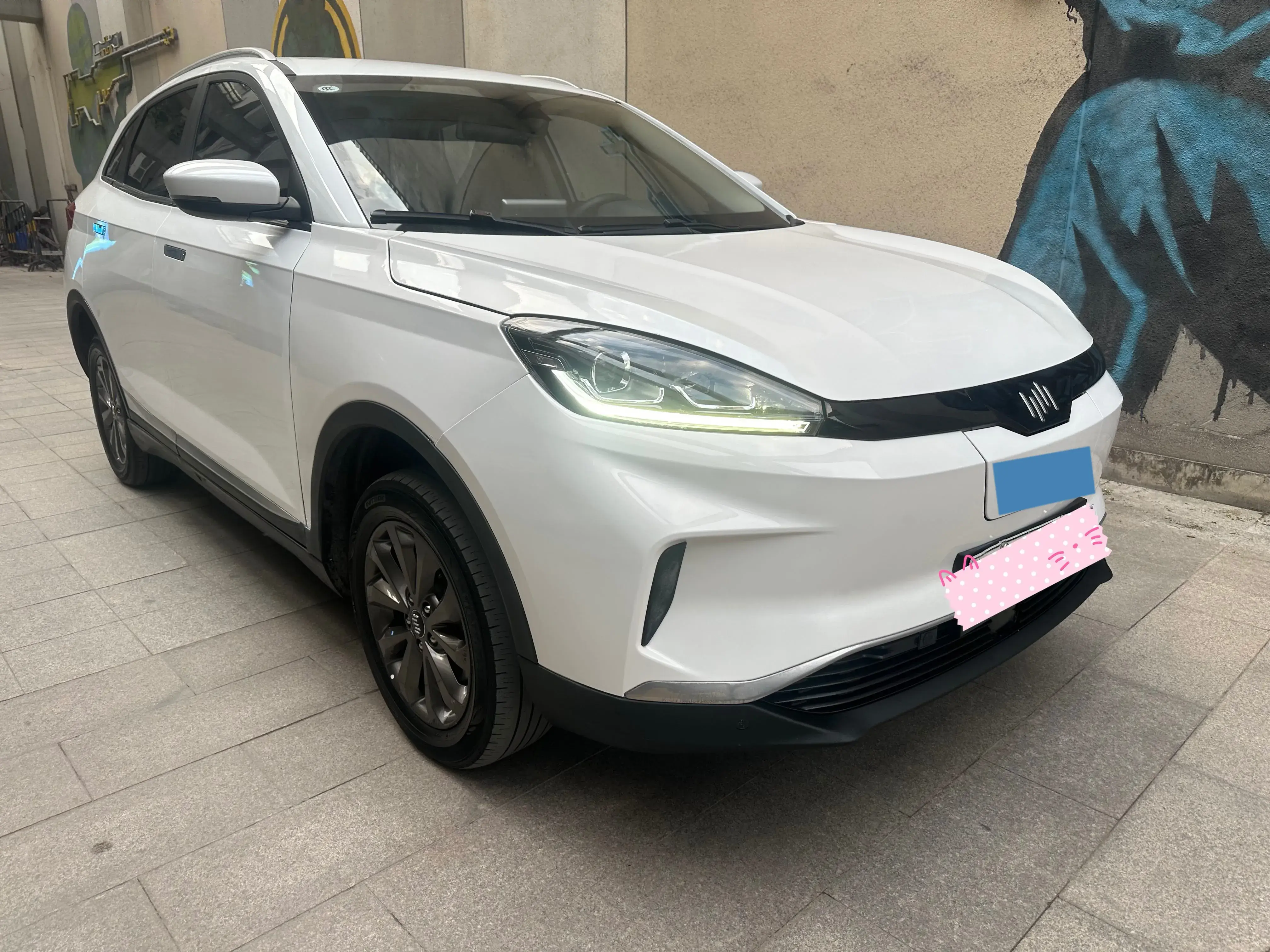 2022 WELTMEISTER EX5 thumbnail 2