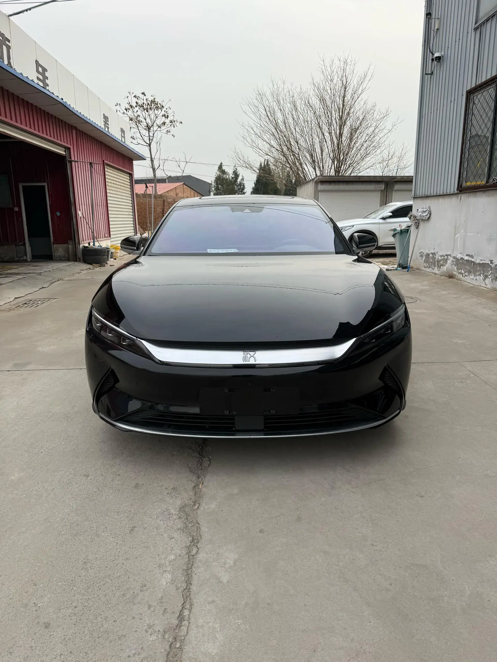 2020 BYD HAN thumbnail 3