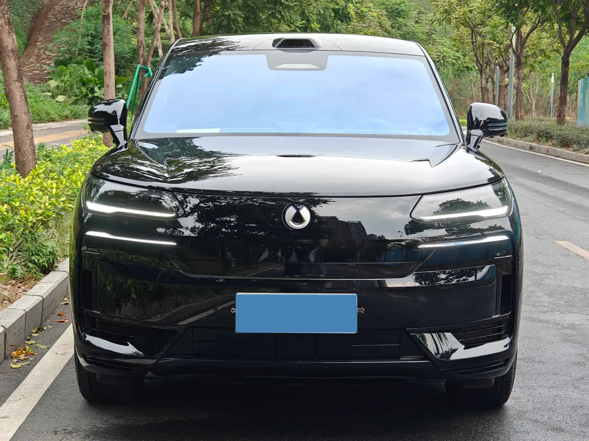 2025 DENZA DENZAN9 thumbnail 2