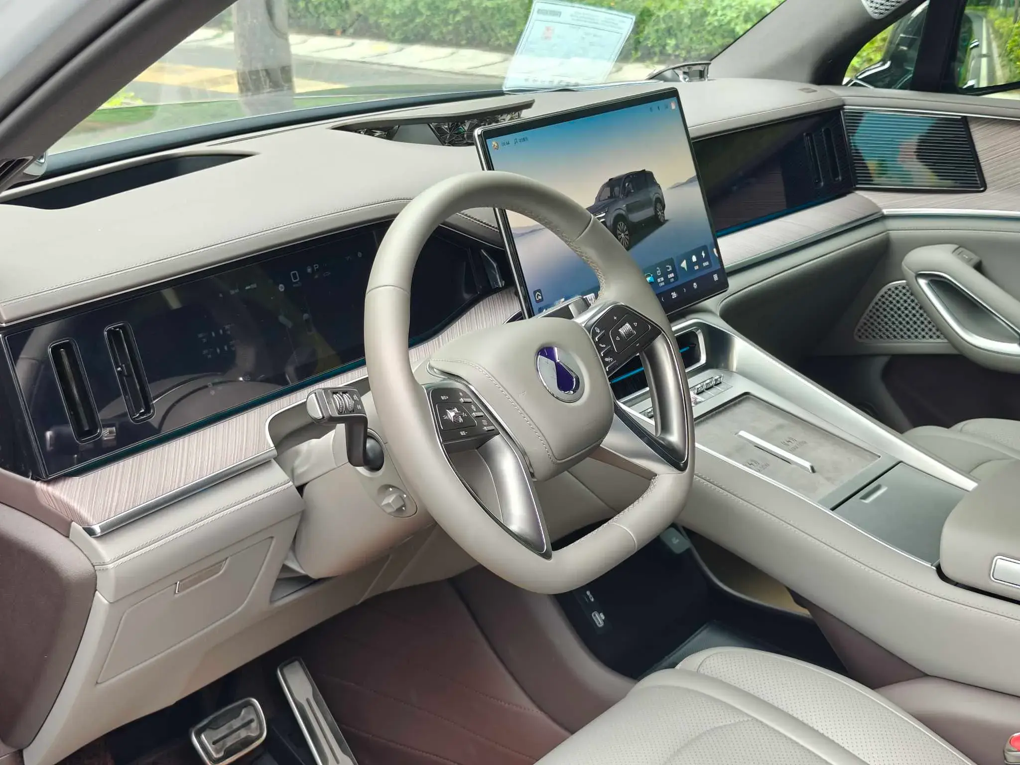 2025 DENZA DENZAN9 thumbnail 3