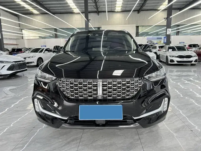 2021 WEY VV6 thumbnail 2