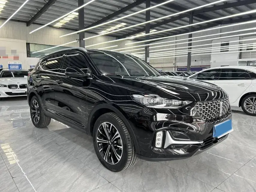 2021 WEY VV6 thumbnail 3