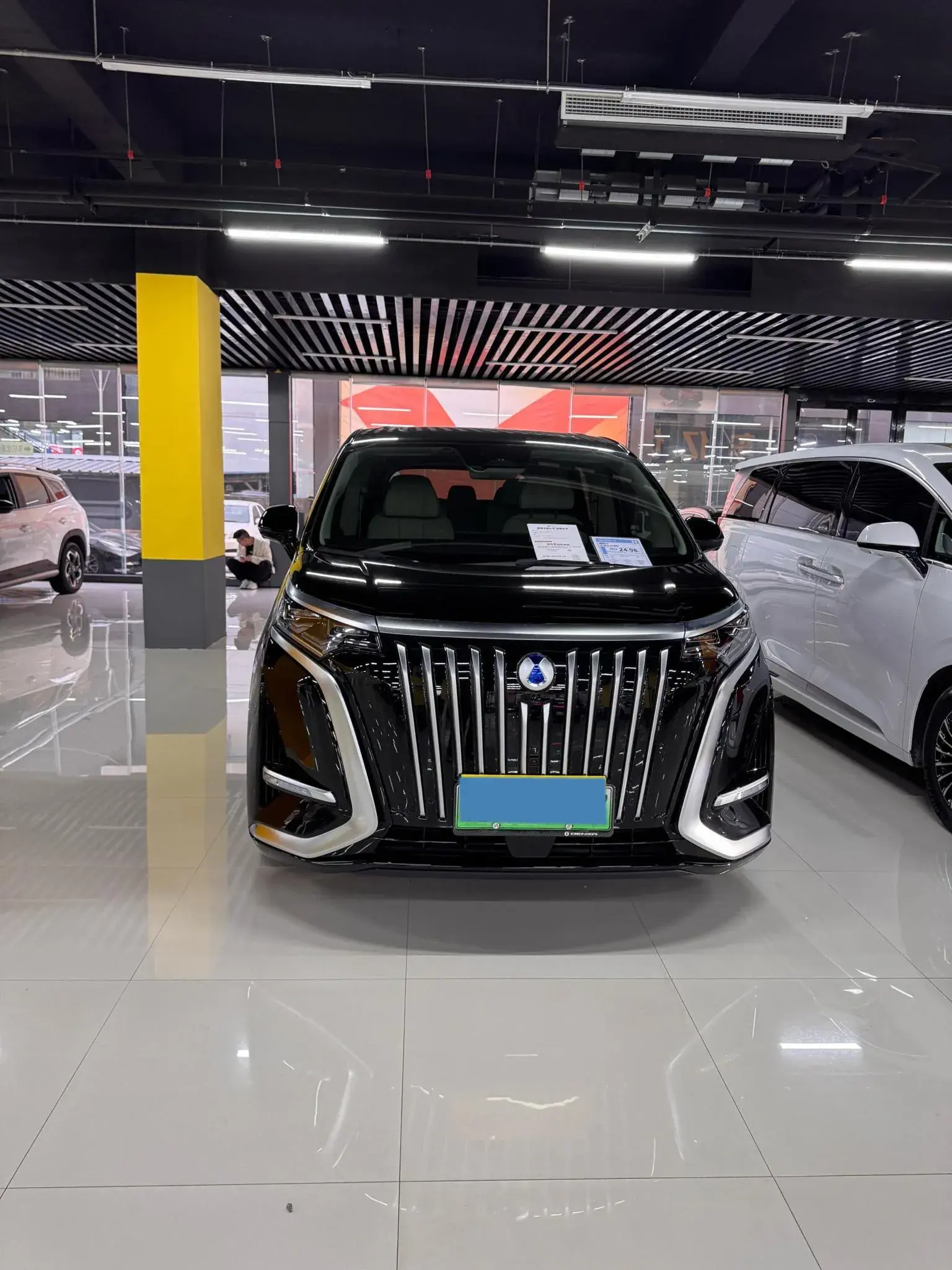 2024 DENZA D9 thumbnail 2