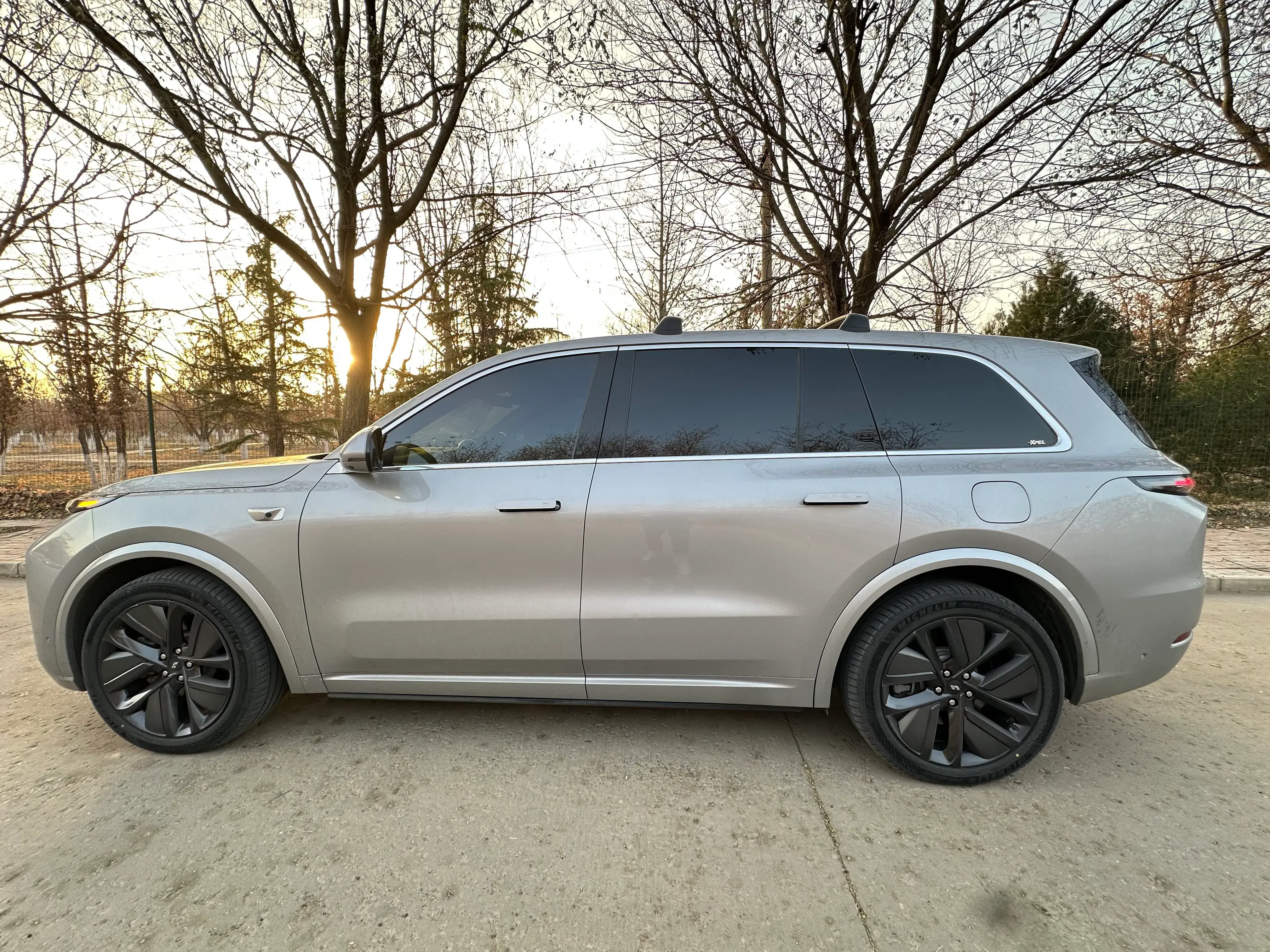 2022 LI L9 thumbnail 3