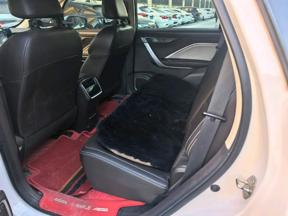 2021 Livan Maple 80v BEV 53KWH,autocango,china used car exporter,china ev exporter,chinese used car exporter,chinese used ev exporter