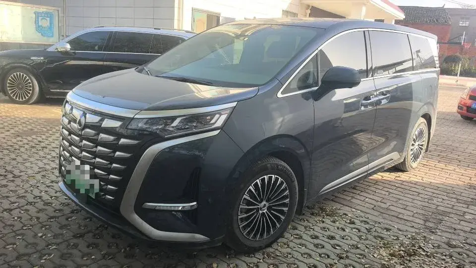 2022 DENZA D9 view 1