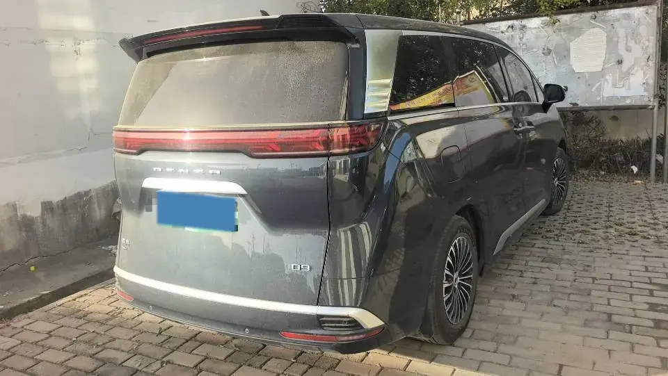 2022 DENZA D9 thumbnail 4