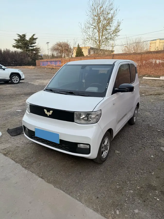 2020 WuLing HongGuang MINI EV BEV 13.8KWH