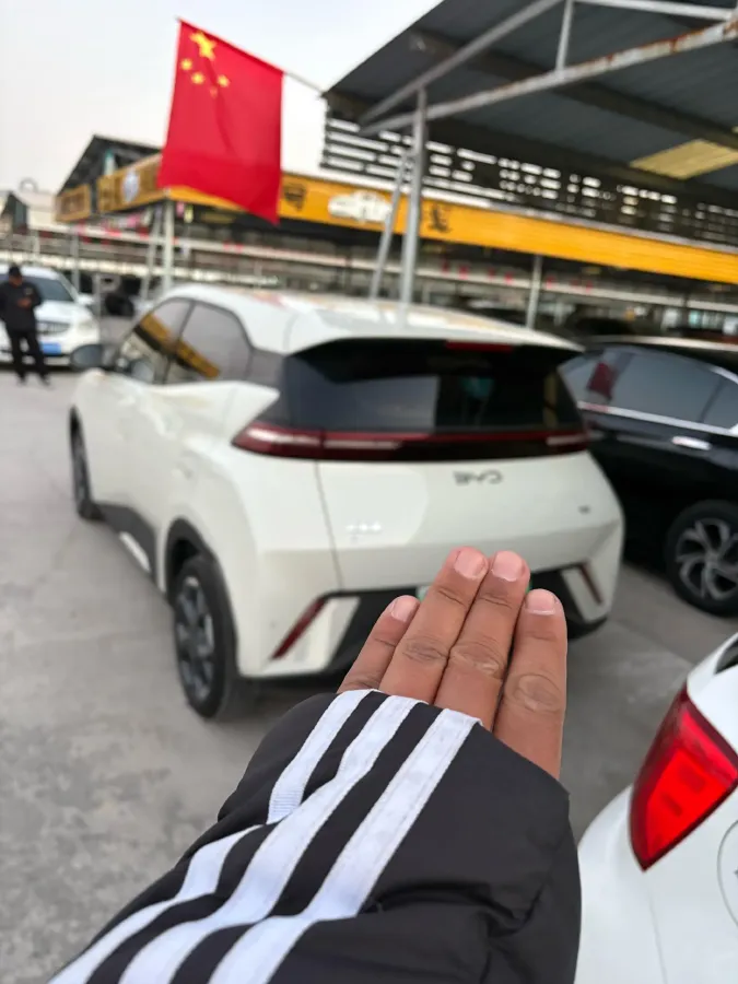 2025 BYD Seagull BEV 30.08KWH,autocango,china used car exporter,china ev exporter,chinese used car exporter,chinese used ev exporter