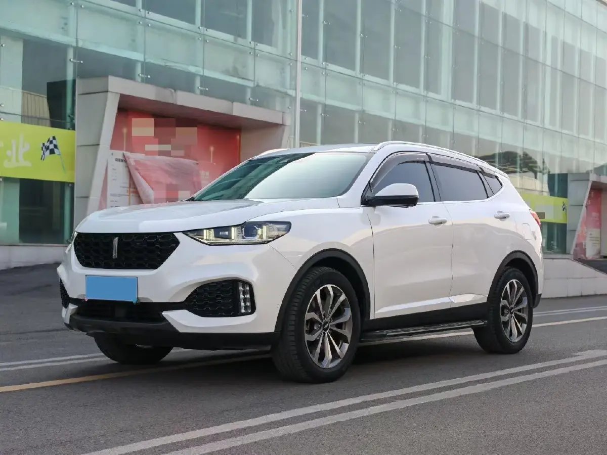 2019 WEY VV6 2.0T 224HP L4 7DCT