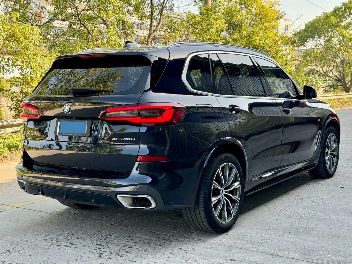 2022 BMW X5 2.0T 245HP L4 8AT,autocango,china used car exporter,china ev exporter,chinese used car exporter,chinese used ev exporter