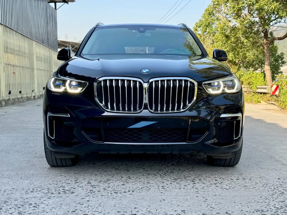 2022 BMW X5 2.0T 245HP L4 8AT,autocango,china used car exporter,china ev exporter,chinese used car exporter,chinese used ev exporter