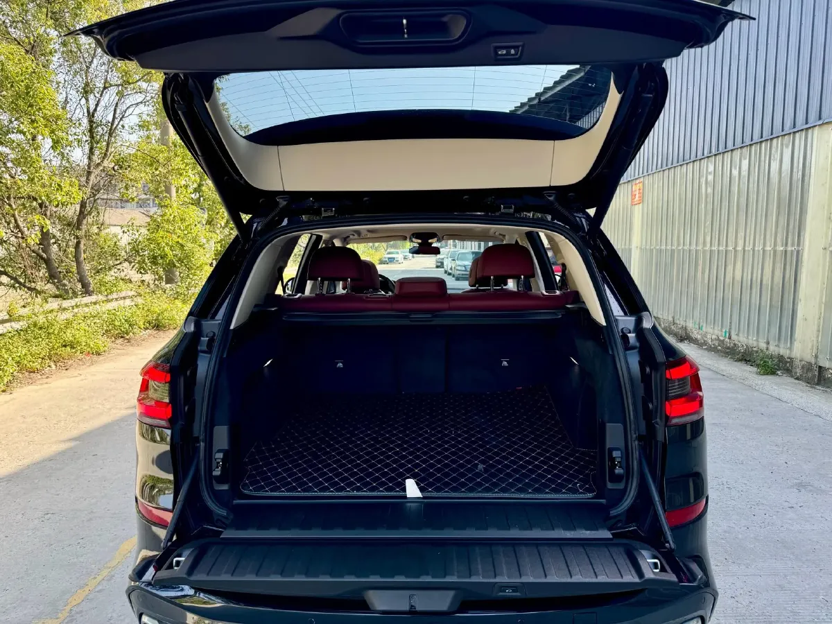 2022 BMW X5 2.0T 245HP L4 8AT,autocango,china used car exporter,china ev exporter,chinese used car exporter,chinese used ev exporter