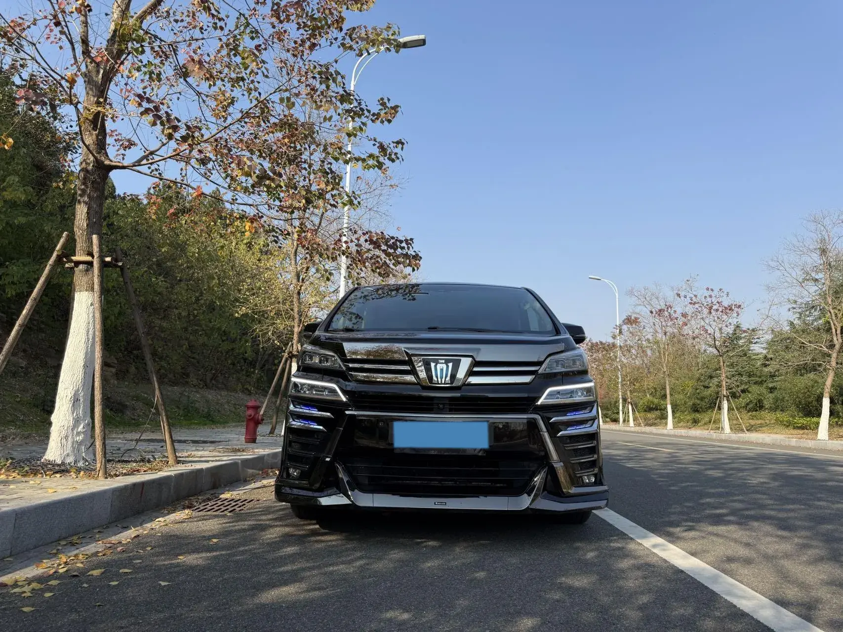 2020 TOYOTA VELLFIRE thumbnail 3