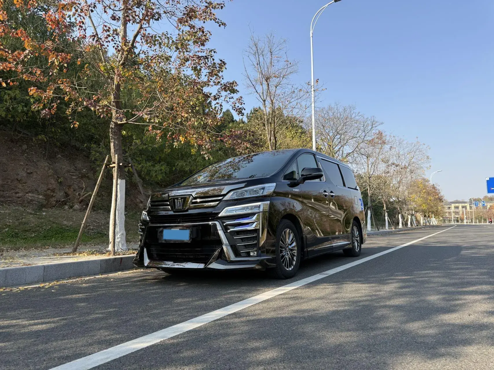 2020 TOYOTA VELLFIRE view 1