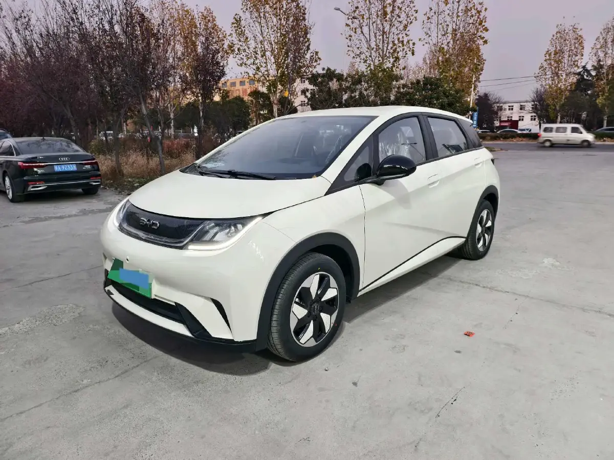 2025 BYD Dolphin BEV 44.928KWH