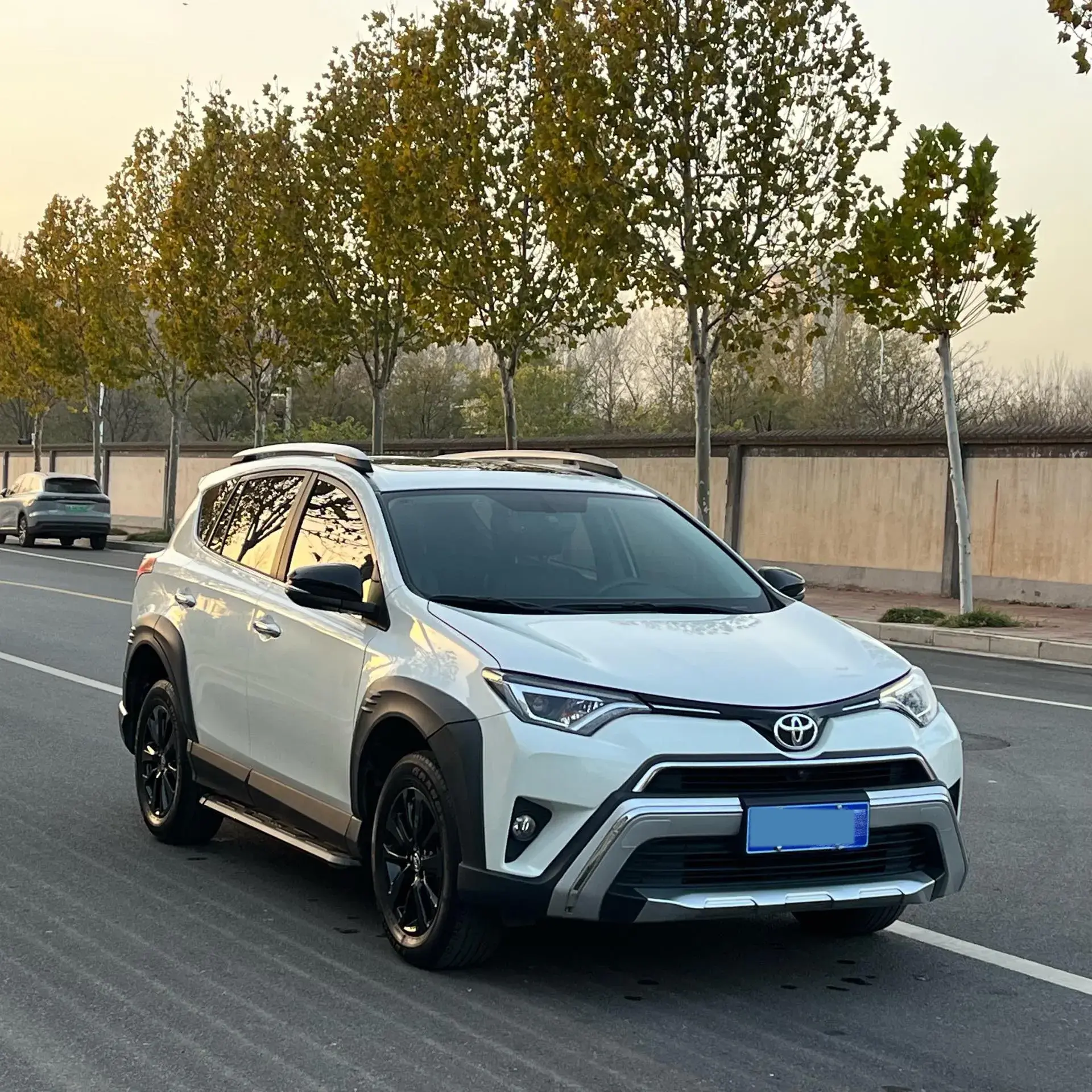 2019 TOYOTA RAV4 thumbnail 3