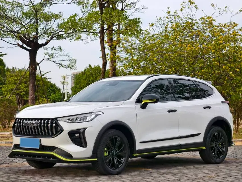 2021 HAVAL RABBIT view 1
