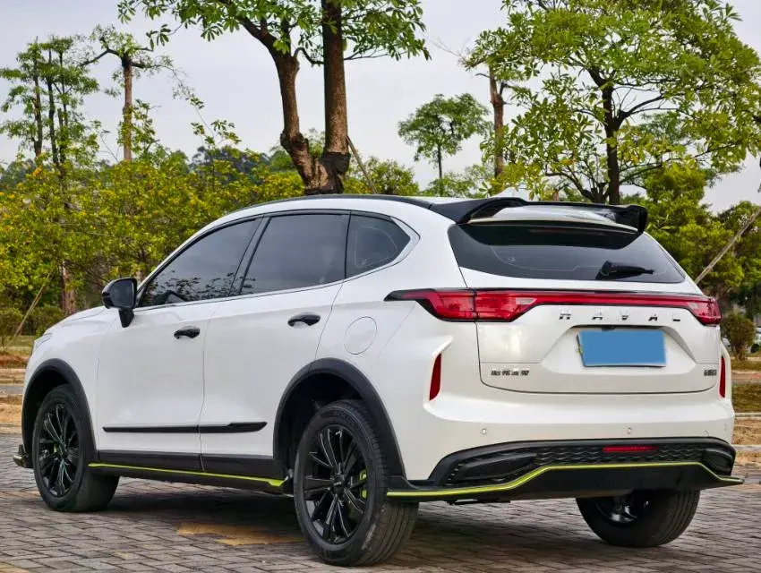 2021 HAVAL RABBIT thumbnail 4