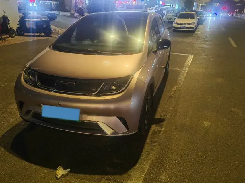 2021 BYD Dolphin BEV 44.9KWH