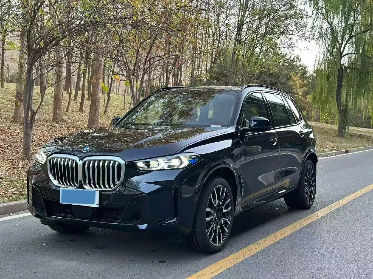 2025 BMW X5 2.0T 258HP L4 8AT,autocango,china used car exporter,china ev exporter,chinese used car exporter,chinese used ev exporter