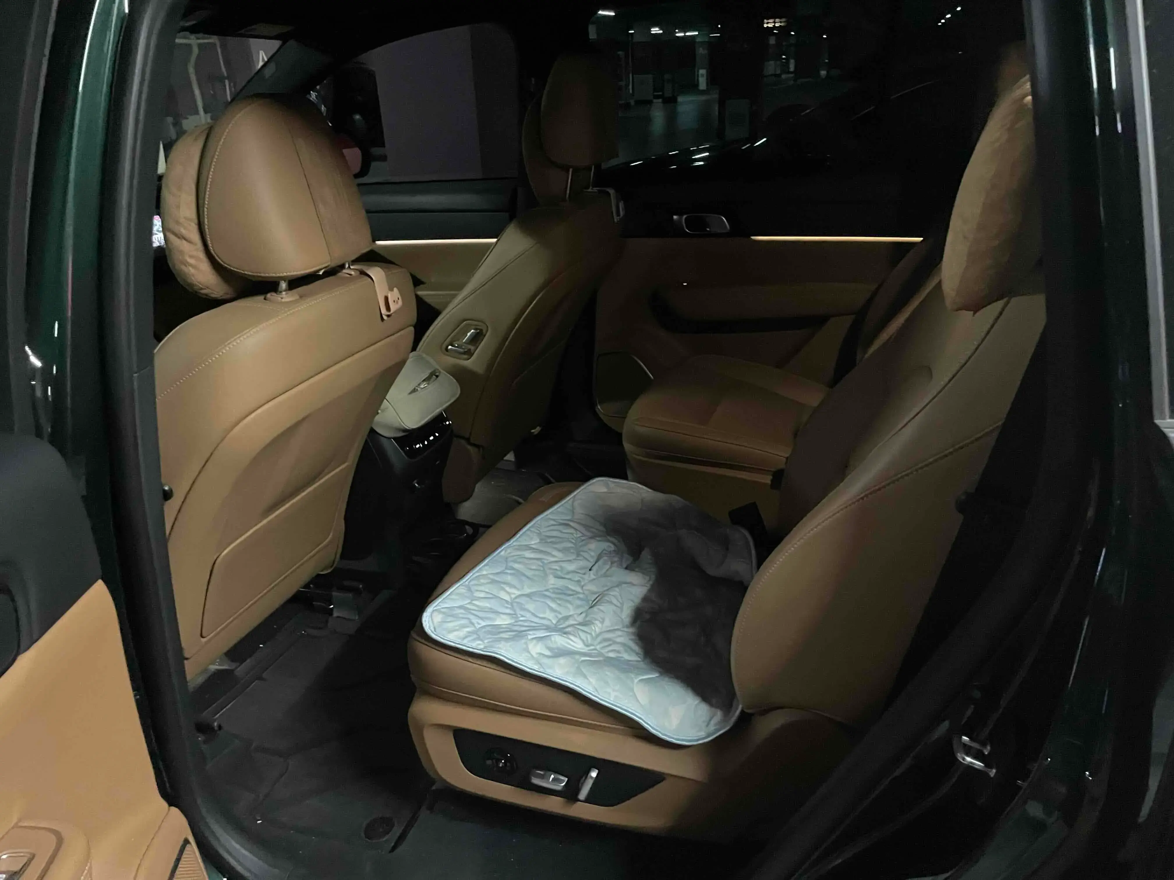 2021 LI ONE thumbnail 4